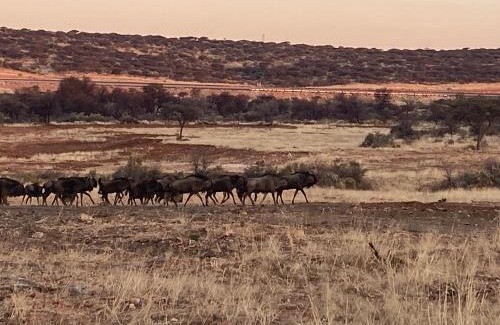 Voigtland Other | Savanna hills Private Camp