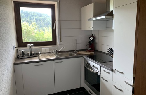 Scheuern Apartment | Schlossblickwohnung Schiel, 60sqm, terrace, 1 bedroom, max. 4 persons