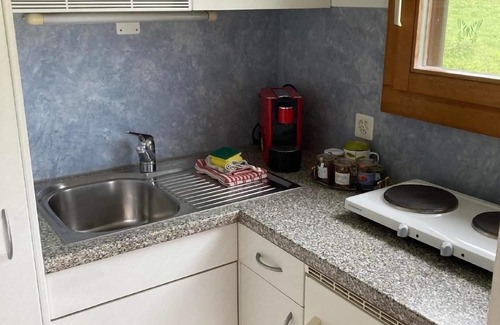 Steinen Ski Chalet | Schwarzenbachhof