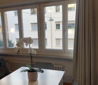 Matthaus Apartment | Schweiz (302)