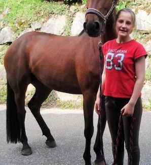 Schuttertal House | Schwoererhof