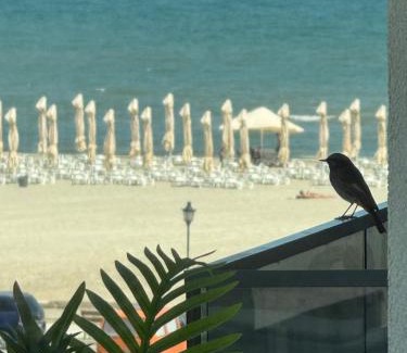 Navodari Apartment | Sea View Luxury Retreat - private parking