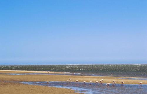 Walvis Bay House | Seadrive