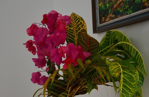Cap Malheureux Apartment | Seaview apartment, 100 m walk to the beach