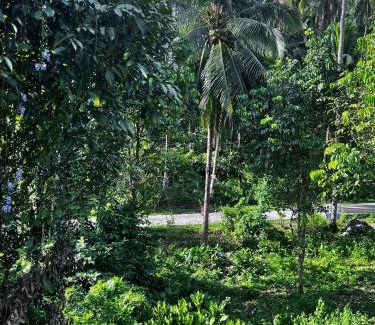 Valencia Apartment | Secluded Couples Getaway Eco Mountain Romance