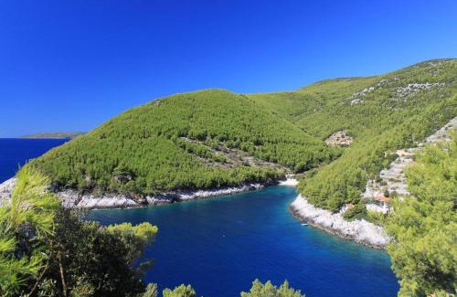 Zrnovo House | Secluded fisherman's cottage Cove Bratinja Luka, Korcula - 12764