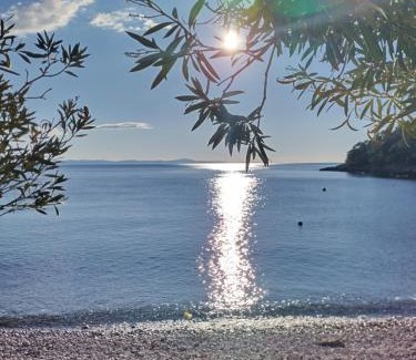Gdinj Other | Secluded getaway tiny home - Skozanje bay, island Hvar