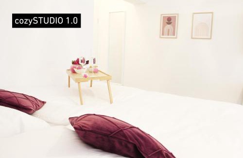 Neudorf-Nord Apartment | SECRET HIDEAWAYS cozySTUDIO superior Apartments mit WiFi l 450m bis Uni l Messe l Flughafen l Zoo
