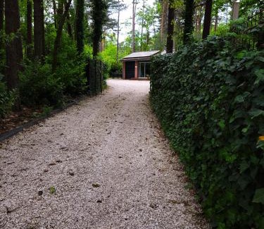 Municipality of Rijssen-Holten House | Secret Wellness Boszicht