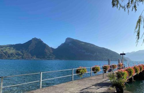 Faulensee Apartment | See und Berge Garden