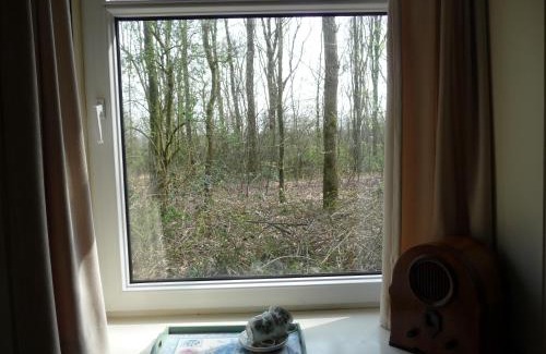 Langedijke Bed & Breakfast | Selatuinen