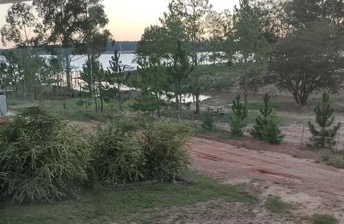 Santa Ana Apartment | Serendipia Santa Ana