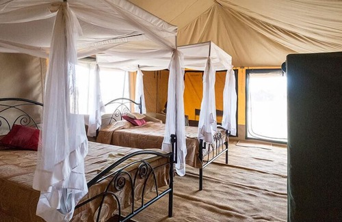 Seronera Other | Serengeti Wild Camps