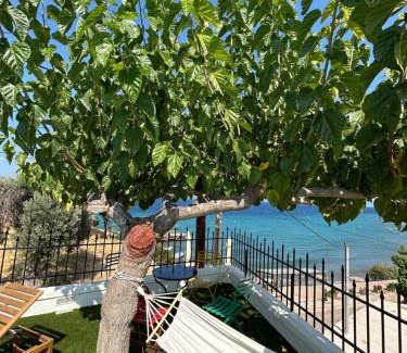 Sesi Villa | Sesi Luxury Suites