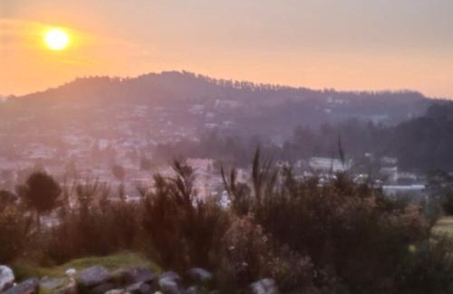 Ooty Apartment | Seven Endue Delight with Mountain view on the Hill Top