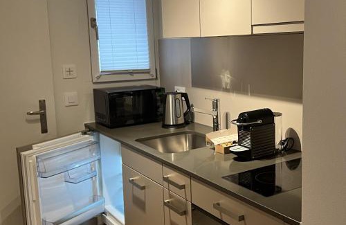 District 6 Apartment | Seven Swiss Wonders, City Center