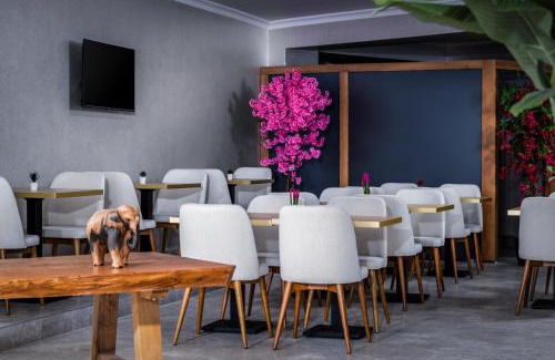 Karsiyaka Hotel | sh hotel business