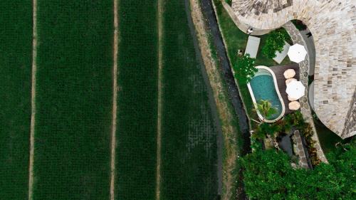 Tabanan Hotel | Shanti Boutique Retreat