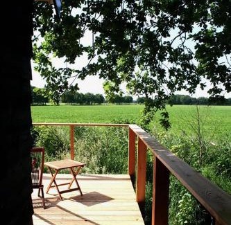 Ruinen Apartment | Shepherd's Hut a tiny ecohouse near Dwingelderveld