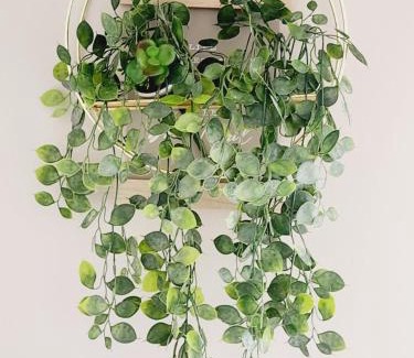 Pretoria Apartment | Shepherd Tree