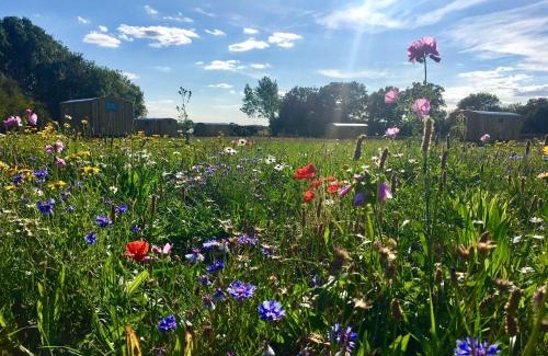 Bedfield House | Shepherds Hut 4