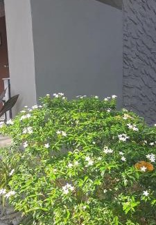 Ko Lanta Resort | Siam Flora Resort Koh Lanta