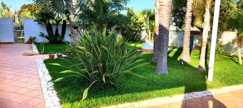 Mazara del Vallo House | SiciliaGranitola