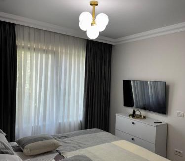 Radauti Apartment | Silver Apartment