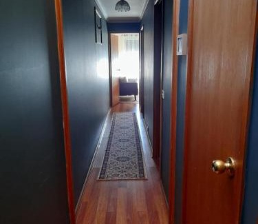 Sassafras House | Simply Sassafras - Tree Fern Suite - self-contained