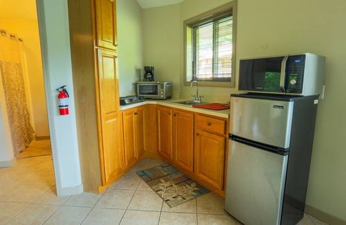 Asheville Cottage | Single little detached round house with one queen bed, kitchenette, and bath