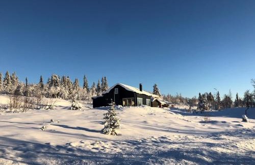 Al House | Skarvebo - cabin with amazing view