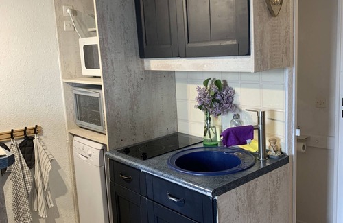 Samoens Apartment | Ski in/ski out, 30 m2 apartment on the slopes