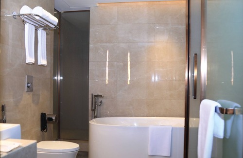 Bole Hotel | Skylight In-Terminal Hotel