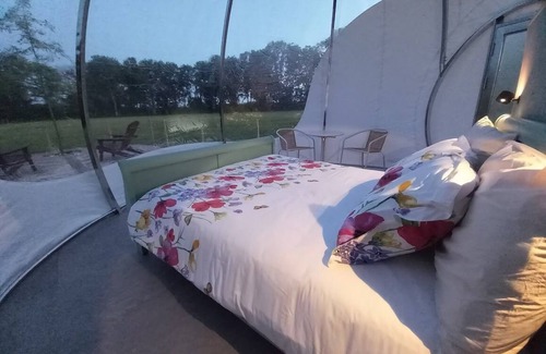 Herry Bed & Breakfast | Sleep under the starry night sky in our "Bulle des Alpagas.