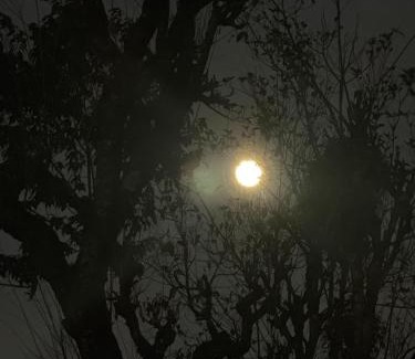 Turuk House | Sleeping Buddha Homestay - Lamahatta