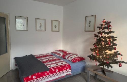 Tanvald Apartment | Slunný byt v Jizerských horách 5 postelí