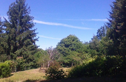 Saint-Julien-le-Petit House | Small house with large plot 1/2 Hectares