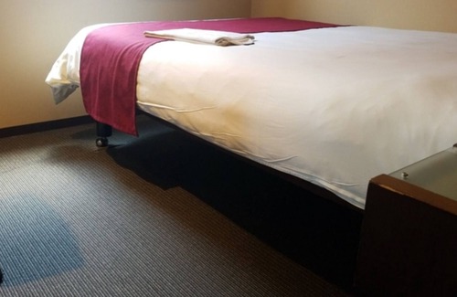 Okazaki Hotel | Smoking single Free breakfast observation bath w/Okazaki Aichi