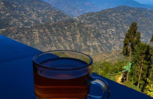 Darjeeling Ski Chalet | Solitude In Himalayas