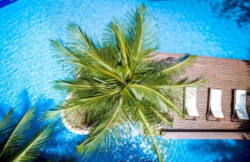 Pipa Hotel | Sombra e Água Fresca Floresta