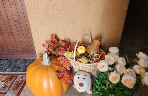 Triora Apartment | Sophia Apartment Triora