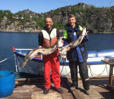 Sund Apartment | Sotra Rorbusenter