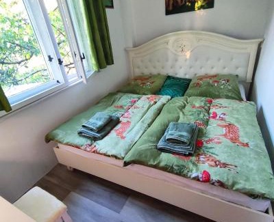 Bakov nad Jizerou House | Soukromý dům se zahradou u Paříků