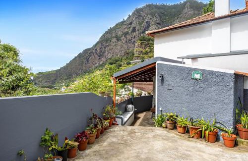Faial House | Sounds of Nature