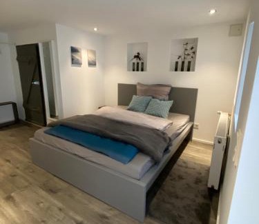 Hochschulviertel Apartment | Souterrain Wohnung in einer Stadtvilla