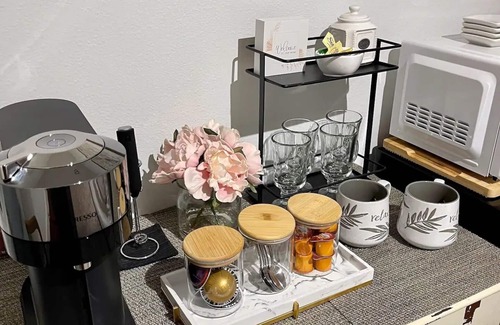 Palma Ceia West Apartment | South Tampa- Luxury Suite