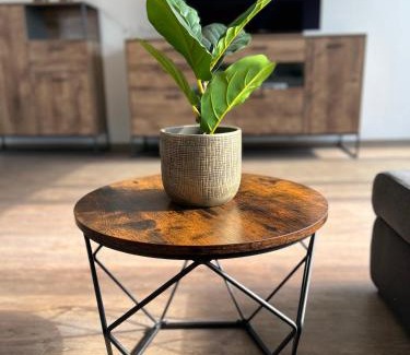 Ulm Apartment | SPA-Apartment mit Sauna in Ulm-Böfingen