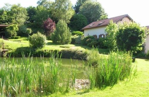 Saint-Nabord House | Spacieux Gîte Proche Forêt avec Sauna, Baby Foot et Activités Extérieures - À 10 min de Remiremont - FR-1-589-293