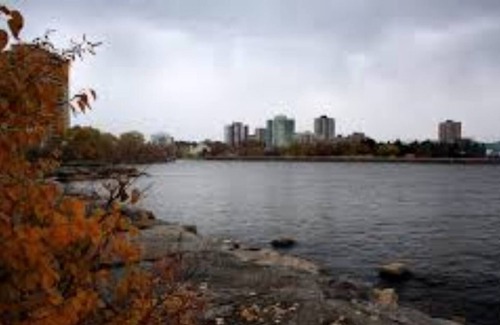 Downtown Mississauga House | Spacious 2 bedroom House with full Access