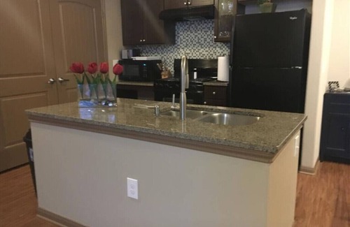 Grogan's Mill Apartment | Spacious 1 Bedroom/1 Bath condo in The Woodlands